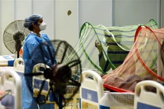 Ấn Độ và Chile ghi nhận số ca mắc mới COVID-19 giảm đáng kể