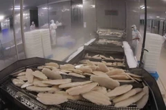 Việt Nam tối đa hóa những lợi ích do hiệp định EVFTA mang lại