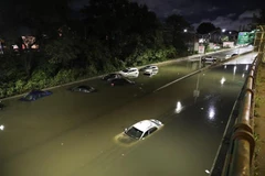 Mỹ điều tra gần 350 báo cáo về các sự cố tràn dầu do bão Ida