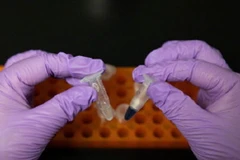 Trung Quốc điều chế thành công tinh bột nhân tạo từ CO2