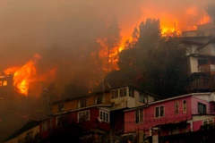 (Nguồn: edition.cnn.com)