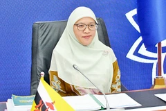 Hội nghị Quan chức kinh tế cấp cao ASEAN lần thứ 3 tại Indonesia