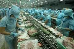 (Ảnh: Vũ Sinh/TTXVN)