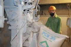 (Ảnh: Hoàng Nguyên/TTXVN)