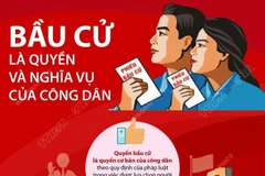 [Infographics] Bầu cử là quyền và nghĩa vụ của công dân