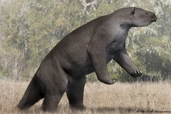 Ảnh minh họa. (Nguồn: dw.com)