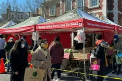 Chỉ số lòng tin tiêu dùng của Mỹ chạm mức cao nhất 17 tháng