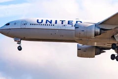 Ảnh minh họa. (Nguồn: Getty Images)