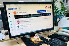 Ngày càng có nhiều vụ việc lừa đảo trực tuyến xảy ra trên toàn cầu, trở thành mối nguy gây tổn thất lớn cho các nền kinh tế, tổ chức và người dân. (Ảnh: PV/Vietrnam+)