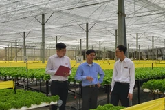 Agribank là ngân hàng chủ lực trong đầu tư phát triển nông nghiệp công nghệ cao. (Ảnh: Vietnam+)