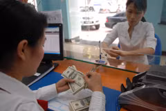 Chuyên gia UOB nhận định tỷ giá ngoại tệ sẽ hạ nhiệt vào cuối năm. (Ảnh: Vietnam+)