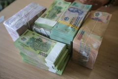 Ảnh minh họa. (Ảnh: Vietnam+)