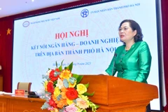 Thống đốc NHNN Việt Nam Nguyễn Thị Hồng phát biểu tại hội nghị (Ảnh: PV/Vietnam+)