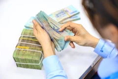 Trong thời gian qua, các ngân hàng thương mại rất tích cực thực hiện giảm mạnh lãi suất đưa mặt bằng lãi suất về mức khá thấp. (Ảnh: PV/Vietnam+)