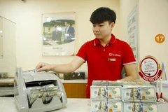 Tỷ giá đã tăng khoảng 3,5% so với đầu năm. (Ảnh: PV/Vietnam+)
