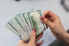 Khi lộ trình tăng lãi suất của Fed chậm lại, triển vọng về đồng USD không còn hấp dẫn như trước, nên mức độ ảnh hưởng lên tỷ giá trong nước cũng sẽ giảm dần. (Ảnh: Vietnam+)