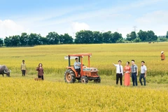 Lienvietpostbank là ngân hàng có mạng lưới rộng lớn, đa số ở địa bàn nông thôn. (Ảnh: Vietnam+)
