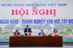 Các đại biểu tham dự hội nghị. (Ảnh: PV/Vietnam+)