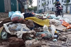 Ảnh minh họa. (Nguồn: TTXVN)