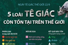 Ngày Tê giác thế giới: Năm loài tê giác còn tồn tại trên thế giới