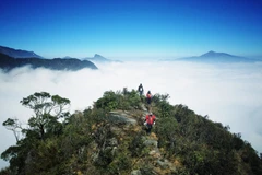 Trải nghiệm gần gũi thiên nhiên đang là xu hướng du lịch được ưa thích ở Việt Nam. (Ảnh minh họa: Xuân Mai/Vietnam+)