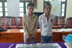 Hai đối tượng Giàng Seo Lìn và Giàng Seo Chư cùng tang vật thu được. (Nguồn: TTXVN phát)