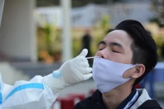 Nhân viên y tế lấy mẫu xét nghiệm. (Ảnh: Văn Dũng/TTXVN)