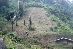 Ảnh chỉ có tính chất minh họa. (Ảnh: Hùng Võ/Vietnam+)