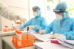 Nhân viên y tế lấy mẫu xét nghiệm COVID-19. (Ảnh: Minh Quyết/TTXVN)