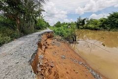 Đoạn đường nhựa ven kênh Giáo Dẫn qua khu vực Tân Quy, phường Trường Lạc bị sạt lở gây nguy hiểm cho việc đi lại của người dân. (Ảnh: Thanh Liêm/TTXVN)