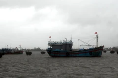 Tàu, thuyền đã neo đậu chắc chắn, đảm bảo không bị va đập khi bão đổ bộ. (Ảnh: Phước Tuệ/TTXVN)