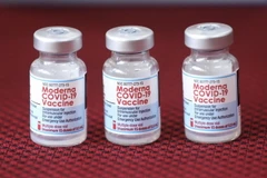 Vaccine Moderna phòng COVID-19. (Ảnh: Minh Quyết/TTXVN)