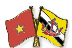 Cơ Việt nam và Brunei Darussalam. (Nguồn: crossed-flag-pins.com)