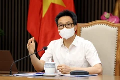 Phó Thủ tướng Chính phủ Vũ Đức Đam phát biểu. (Ảnh: Phạm Kiên/TTXVN)