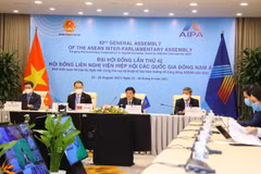 Đoàn đại biểu Quốc hội Việt Nam dự Phiên họp Ủy ban Xã hội. (Ảnh: Nguyễn Điệp/TTXVN)