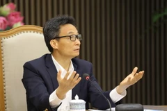 Phó Thủ tướng Vũ Đức Đam phát biểu tại buổi làm việc. (Ảnh: Văn Điệp/TTXVN)