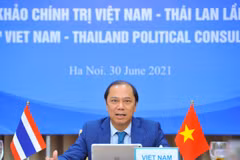 Thứ trưởng Bộ Ngoại giao Việt Nam Nguyễn Quốc Dũng chủ trì theo hình thức trực tuyến. (Ảnh: Minh Đức/TTXVN)