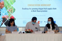 Các đại biểu tham dự Hội thảo. (Ảnh: Nguyễn Thanh/TTXVN)