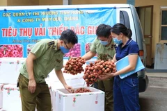 Sản phẩm vải thiều Bắc Giang trước khi mang đi tiêu thụ đều được đảm bảo chất lượng sản phẩm, thực hiện nghiêm ngặt các quy trình kiểm dịch, phun khử khuẩn và có giấy chứng nhận kiểm dịch. (Ảnh: Đinh Tuấn/TTXVN)