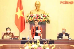 Chủ tịch Quốc hội Nguyễn Thị Kim Ngân chủ trì và phát biểu khai mạc. (Ảnh: Trọng Đức/TTXVN)