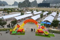 Các gian hàng tại hội chợ hoa Xuân cũng sẽ được bố trí giãn cách để đảm bảo quy định về phòng chống dịch COVID-19. (Nguồn: baoquangninh)