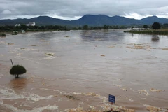 Ảnh minh họa. (Nguồn: TTXVN)