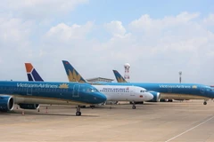 (Ảnh: CTV/Vietnam+)