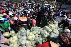 Người dân đội nắng nườm nượp đến mua ủng hộ nông sản Hải Dương trưa 21/2 tại 38 Giải Phóng (Hà Nội). (Ảnh: Thành Đạt/TTXVN)