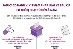 Người có hành vi vi phạm pháp luật về bầu cử có thể bị phạt tù 