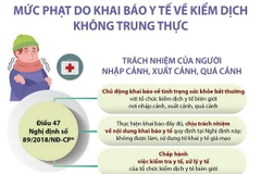 Mức phạt do khai báo y tế về kiểm dịch không trung thực 