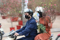 Người dân mua cành đào đón Tết. (Ảnh: Thanh Tùng/TTXVN)