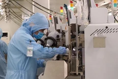 Ảnh minh họa. (Ảnh: Thái Hùng/TTXVN)