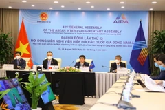 Đoàn đại biểu Quốc hội Việt Nam dự Phiên họp Ủy ban Xã hội. (Ảnh: Nguyễn Điệp/TTXVN)