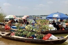 35 người trên 18 chiếc ghe lớn, nhỏ nhập cảnh trái phép vào Việt Nam bị phát hiện. (Ảnh do Đồn Biên phòng cửa khẩu Quốc tế Vĩnh Xương cung cấp/TTXVN phát)